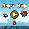Angry Ninja